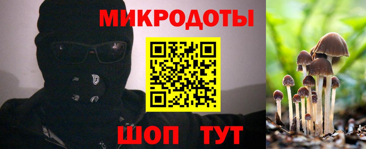 Галлюциногенные грибы Psilocybe Усинск